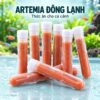 Artemia đông lạnh cho cá cảnh – Dạng ống tiện sử dụng