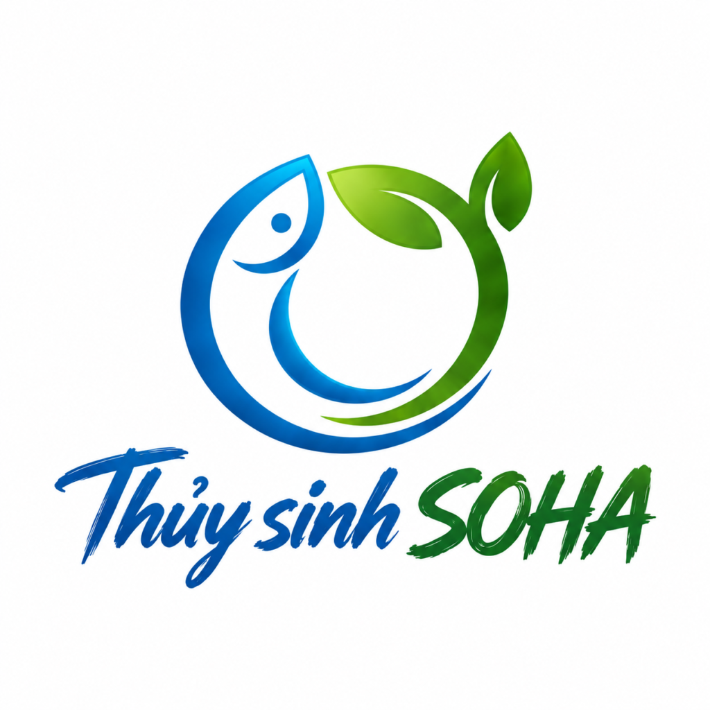 Thủy sinh SOHA